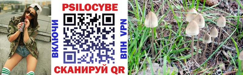 darknet какой сайт  Данков  Псилоцибиновые грибы GOLDEN TEACHER  МЕГА ТОР 